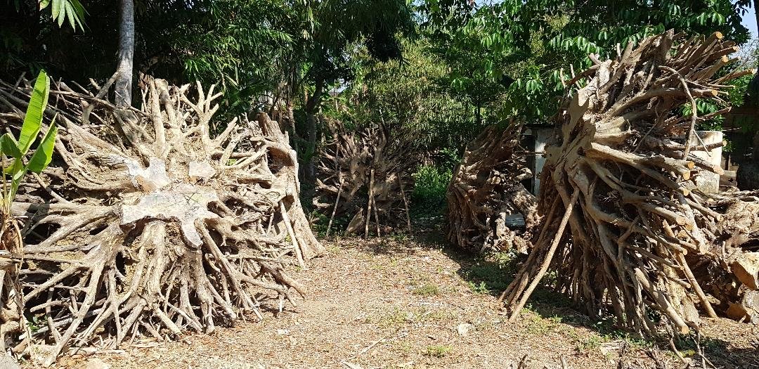 coffe-table-cabinet-cheap-price-high-quality-meuble-meubelen-teak-hout-dinning-table-wholesale-teak-root-kayu-jati-manufacturer-furniture-from-indonesia